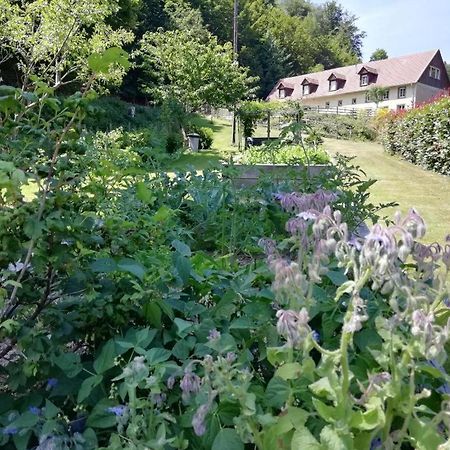 La Climontaine Bed and Breakfast Urbeis Buitenkant foto