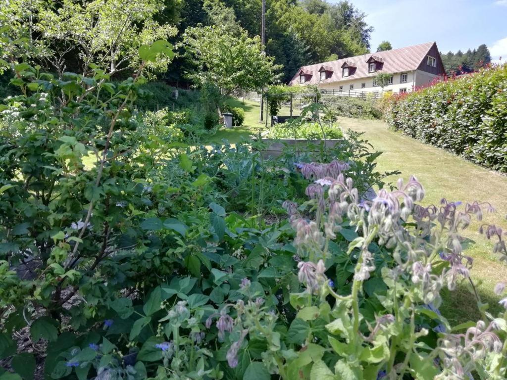 La Climontaine Bed and Breakfast Urbeis Buitenkant foto